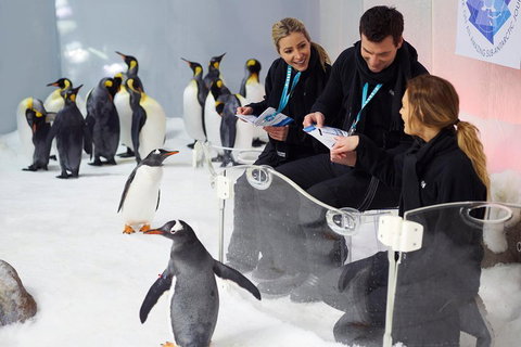 Penguin Passport At SEA LIFE Melbourne Aquarium - Accommodation Cooktown 5