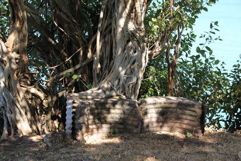 Darwin Walking Tour: World War II Reflections - Accommodation Cooktown 3