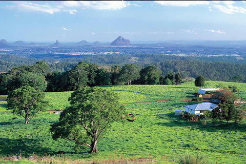 Full Day Sunshine Coast Hinterland Luxury Small Group Tour From Brisbane - Accommodation Cooktown 2