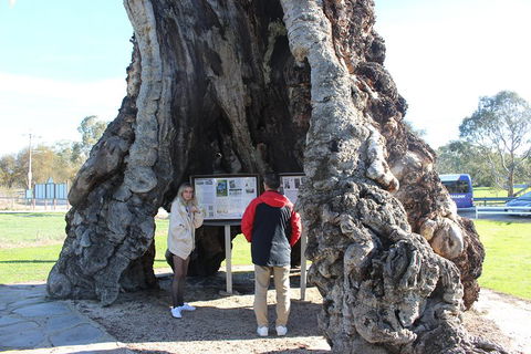 Barossa And Hahndorf Day Trip From Adelaide Including Wine Tasting And Lunch - Accommodation Cooktown 1