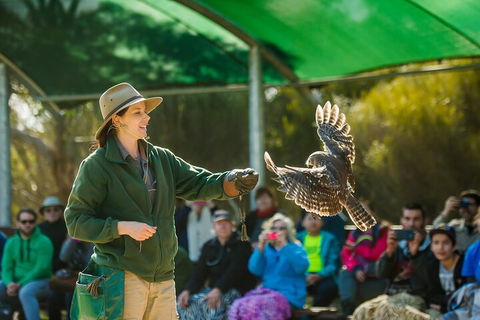 Full Day Kangaroo Island Sip And See Tour Departing From Kangaroo Island - Accommodation Cooktown 1