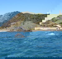 Kayaking with Dolphins in Byron Bay Guided Tour - Accommodation Cooktown