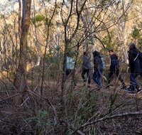 Wild Australian Wildlife 4WD Tour from Sydney - Accommodation Cooktown