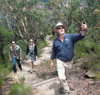 Small-Group Blue Mountains Tour with Bush Walks and Featherdale Wildlife Park - Accommodation Cooktown
