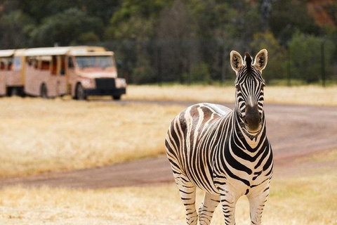 Werribee Open Range Zoo General Admission Ticket - Accommodation Cooktown 5