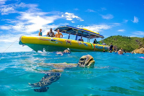 Great Barrier Reef Scenic Flight And Ocean Rafting Whitehaven Beach Day Trip - Accommodation Cooktown 1