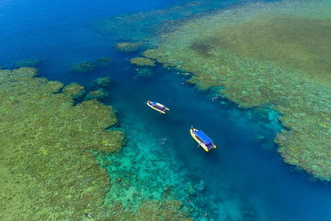 Great Barrier Reef Scenic Flight And Ocean Rafting Whitehaven Beach Day Trip - Accommodation Cooktown 4