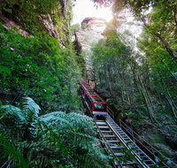 Private Blue Mountains Tour - Accommodation Cooktown