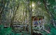 Private Blue Mountains Tour - thumb 4