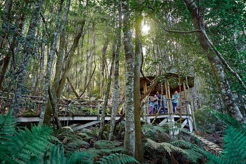 Private Blue Mountains Tour - Accommodation Cooktown 4