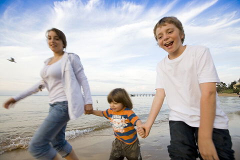 Phillip Island Penguin And Koala Highlights Day-Trip From Melbourne - Accommodation Cooktown 0