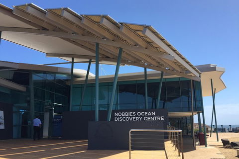 Phillip Island Penguin And Koala Highlights Day-Trip From Melbourne - Accommodation Cooktown 1