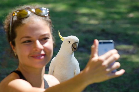 Melbourne To Adelaide South East Coast 3 Day Overland Tour - Accommodation Cooktown 3