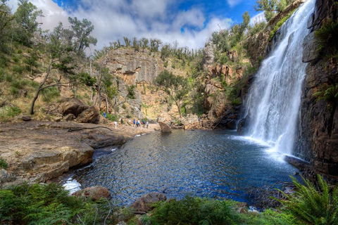 Melbourne To Adelaide South East Coast 3 Day Overland Tour - Accommodation Cooktown 4
