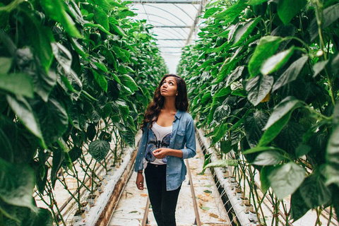 Yarra Valley Local Produce And Wine Tasting Tour - Accommodation Cooktown 0