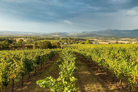 Yarra Valley Local Produce And Wine Tasting Tour - Accommodation Cooktown 3