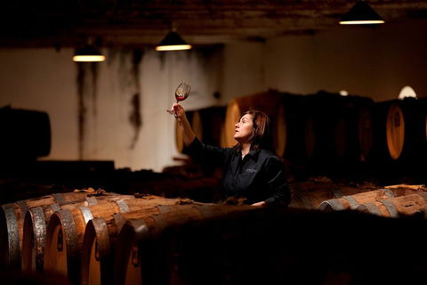 Seppeltsfield Centenary Tour - Accommodation Cooktown 3