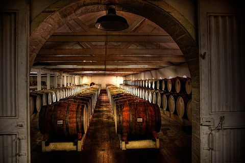 Seppeltsfield Centenary Tour - Accommodation Cooktown 4