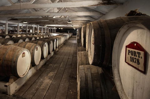 Seppeltsfield Centenary Tour - Accommodation Cooktown 5