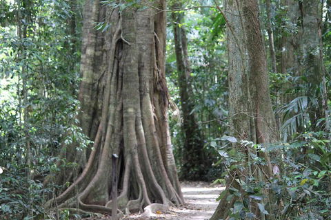 Noosa And Sunshine Coast Hinterland Day Trip From Brisbane - Accommodation Cooktown 3