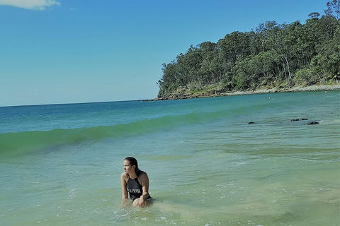 Noosa And Sunshine Coast Hinterland Day Trip From Brisbane - Accommodation Cooktown 4