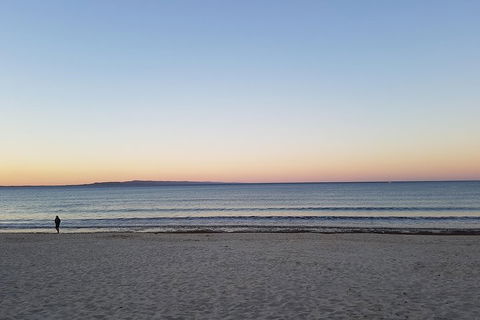 Noosa And Sunshine Coast Hinterland Day Trip From Brisbane - Accommodation Cooktown 5