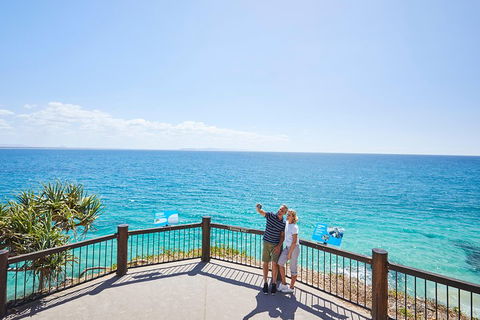 Noosa Everglades Serenity Cruise & Highlights Tour Inc. Lunch & Cruise - Accommodation Cooktown 3