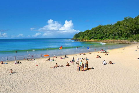 Noosa Everglades Serenity Cruise & Highlights Tour Inc. Lunch & Cruise - Accommodation Cooktown 4