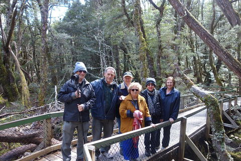 Blue Mountains Private Tour With Wildlife Park And River Cruise - Accommodation Cooktown 2