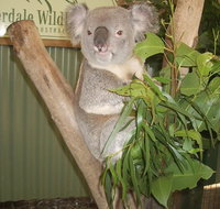 Blue Mountains Private Full-Day Tour from Sydney with Cruise - Accommodation Cooktown