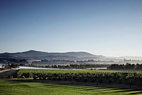 Chauffeur Driven Yarra Valley Group Wine Tour - Up To 7 - Accommodation Cooktown 2