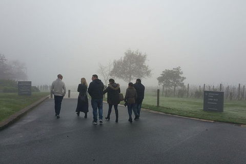 Chauffeur Driven Yarra Valley Group Wine Tour - Up To 7 - Accommodation Cooktown 4