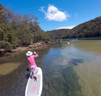 Ku-ring-gai Chase National Park Stand Up Paddleboard Tour - Accommodation Cooktown