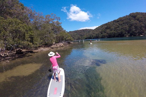 Ku-ring-gai Chase National Park Stand Up Paddleboard Tour - Accommodation Cooktown 0