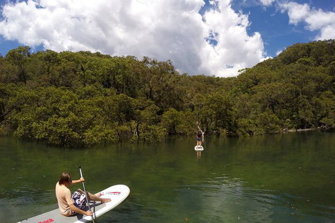 Ku-ring-gai Chase National Park Stand Up Paddleboard Tour - Accommodation Cooktown 1