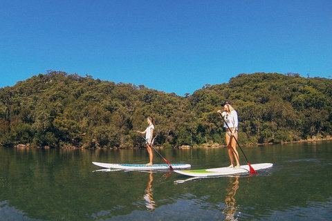 Ku-ring-gai Chase National Park Stand Up Paddleboard Tour - Accommodation Cooktown 2