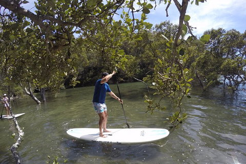 Ku-ring-gai Chase National Park Stand Up Paddleboard Tour - Accommodation Cooktown 3