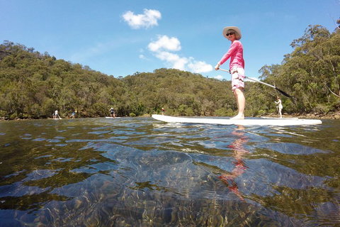 Ku-ring-gai Chase National Park Stand Up Paddleboard Tour - Accommodation Cooktown 4