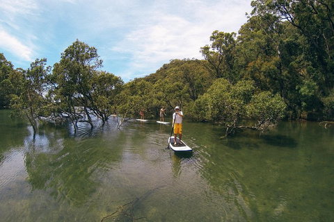 Ku-ring-gai Chase National Park Stand Up Paddleboard Tour - Accommodation Cooktown 5