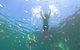 Manly Snorkel Trip And Nature Walk With Local Guide - thumb 0