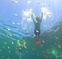 Manly Snorkel Trip and Nature Walk with Local Guide - Accommodation Cooktown