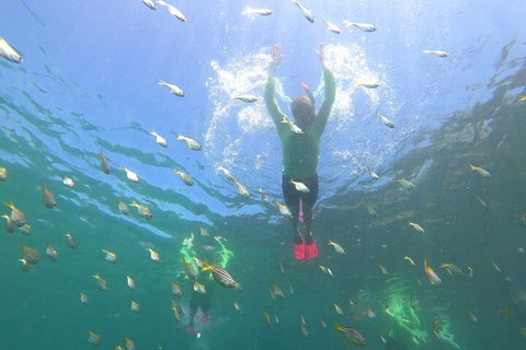 Manly Snorkel Trip And Nature Walk With Local Guide - Accommodation Cooktown 0