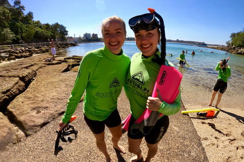 Manly Snorkel Trip And Nature Walk With Local Guide - Accommodation Cooktown 1