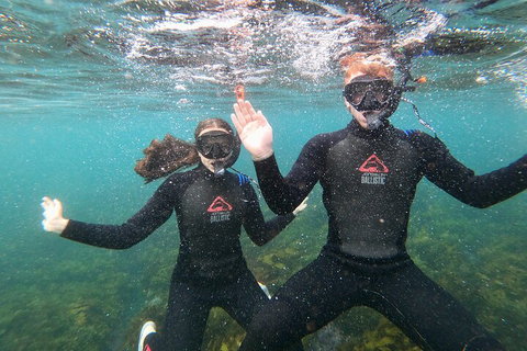 Manly Snorkel Trip And Nature Walk With Local Guide - Accommodation Cooktown 3