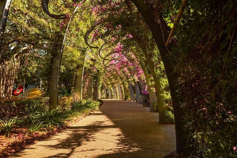 Brisbane Scavenger Hunt: Brisbane's South Bank! - Accommodation Cooktown 3