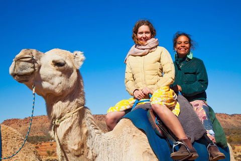 Alice Springs Camel Tour - Accommodation Cooktown 3