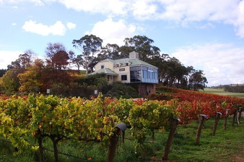 Adelaide Hills Day Tour. Winery Cellar Doors - Accommodation Cooktown 1