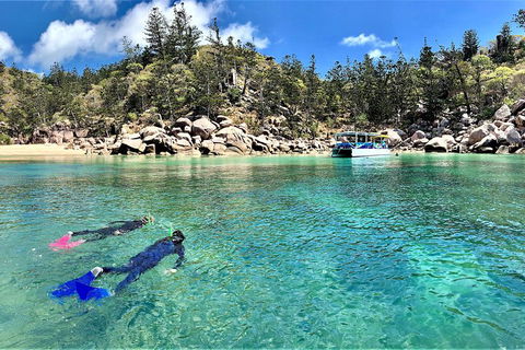 Aquascene Magnetic Island Discovery Tour - Accommodation Cooktown 4