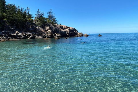 Aquascene Magnetic Island Discovery Tour - Accommodation Cooktown 5