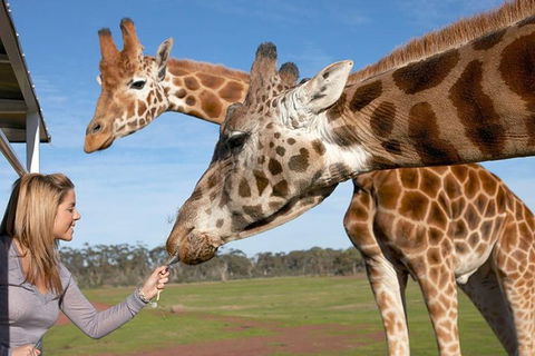 Melbourne City Card (2 Days): Visit Unlimited Attractions! - Accommodation Cooktown 1
